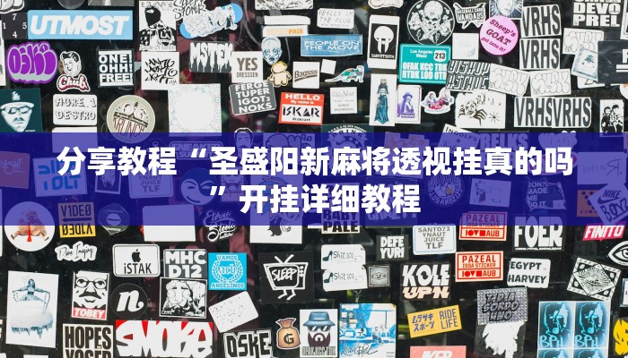 分享教程“圣盛阳新麻将透视挂真的吗”开挂详细教程