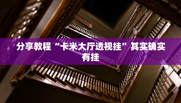 分享教程“卡米大厅透视挂”其实确实有挂