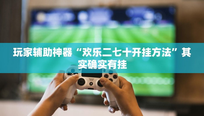 玩家辅助神器“方片比鸡可以开挂吗”其实确实有挂