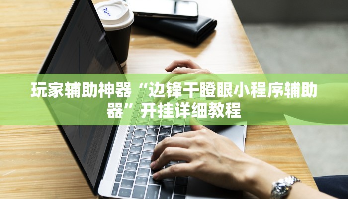 玩家辅助神器“边锋干瞪眼小程序辅助器”开挂详细教程