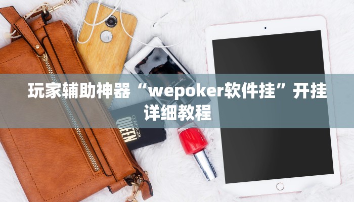 玩家辅助神器“wepoker软件挂”开挂详细教程