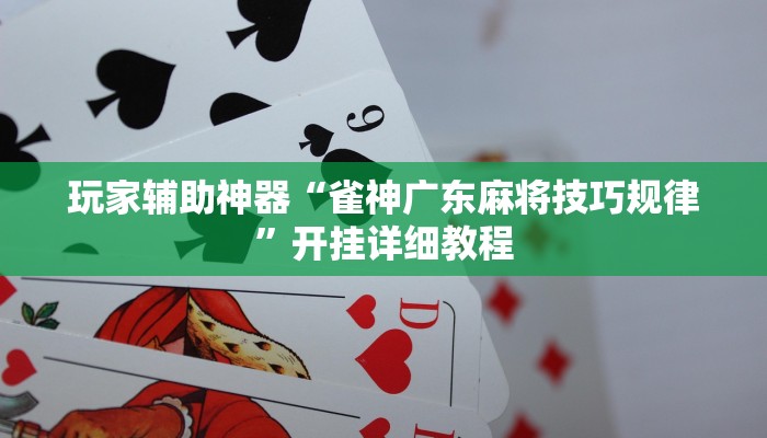 玩家辅助神器“雀神广东麻将技巧规律”开挂详细教程