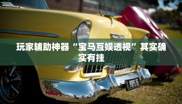 玩家辅助神器“宝马互娱透视”其实确实有挂