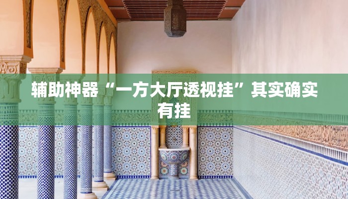辅助神器“一方大厅透视挂”其实确实有挂