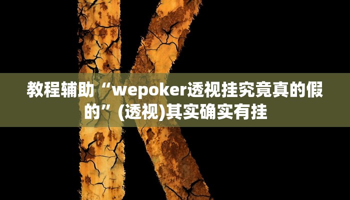 教程辅助“wepoker透视挂究竟真的假的”(透视)其实确实有挂