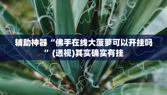 辅助神器“佛手在线大菠萝可以开挂吗”(透视)其实确实有挂