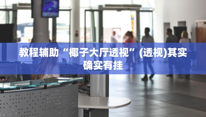 教程辅助“椰子大厅透视”(透视)其实确实有挂