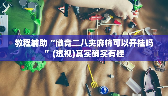 教程辅助“微竞二八夹麻将可以开挂吗”(透视)其实确实有挂