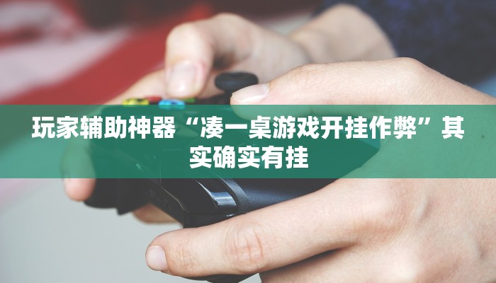 玩家辅助神器“凑一桌游戏开挂作弊”其实确实有挂