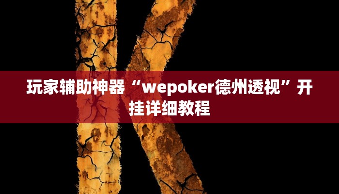 玩家辅助神器“wepoker德州透视”开挂详细教程