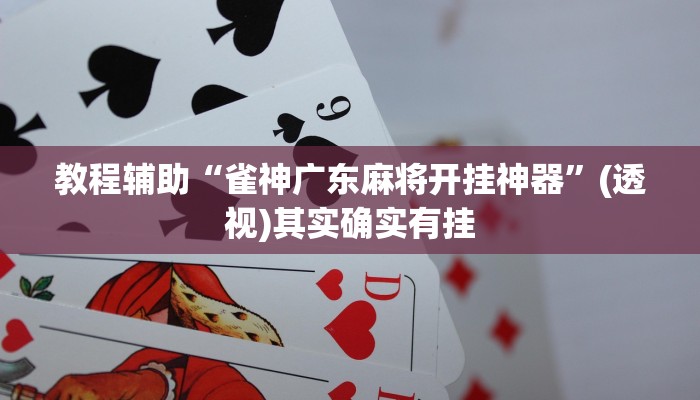 教程辅助“雀神广东麻将开挂神器”(透视)其实确实有挂