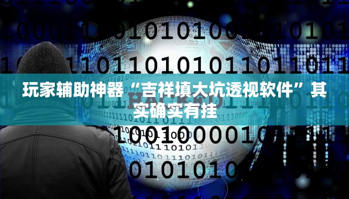 玩家辅助神器“吉祥填大坑透视软件”其实确实有挂