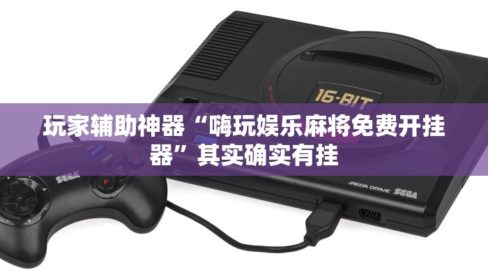 玩家辅助神器“嗨玩娱乐麻将免费开挂器”其实确实有挂