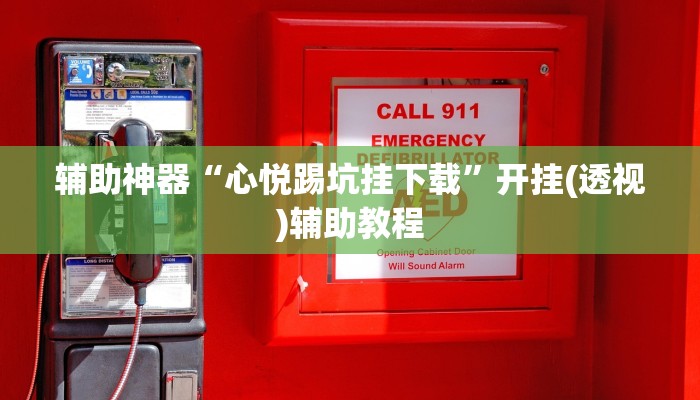 辅助神器“心悦踢坑挂下载”开挂(透视)辅助教程