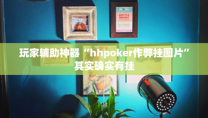 玩家辅助神器“hhpoker作弊挂图片”其实确实有挂