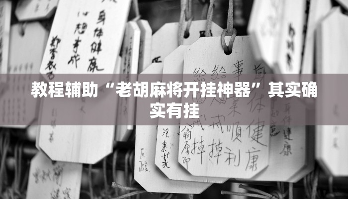 教程辅助“老胡麻将开挂神器”其实确实有挂