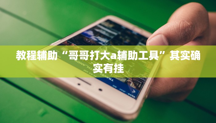 教程辅助“哥哥打大a辅助工具”其实确实有挂