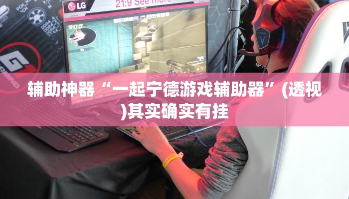 辅助神器“一起宁德游戏辅助器”(透视)其实确实有挂