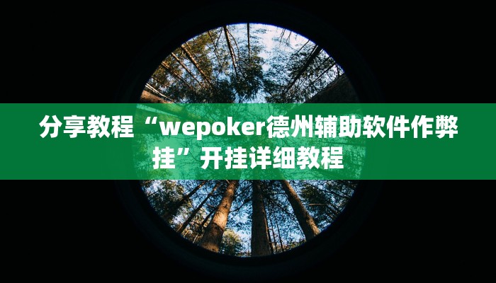 分享教程“wepoker德州辅助软件作弊挂”开挂详细教程