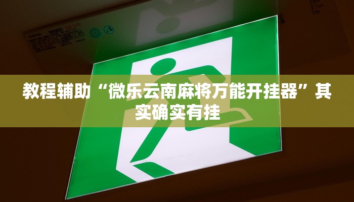 教程辅助“微乐云南麻将万能开挂器”其实确实有挂