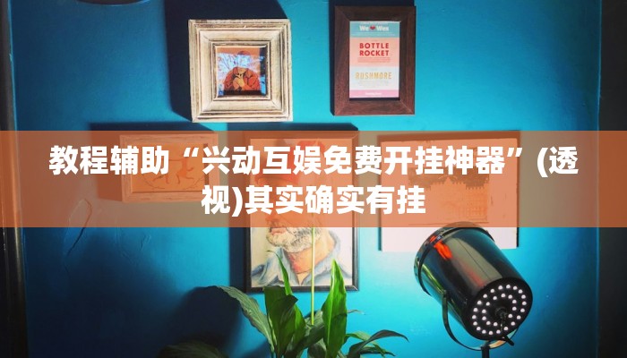 教程辅助“兴动互娱免费开挂神器”(透视)其实确实有挂