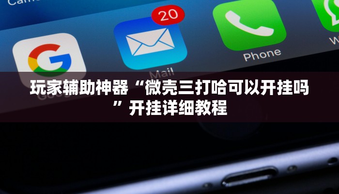 玩家辅助神器“微壳三打哈可以开挂吗”开挂详细教程