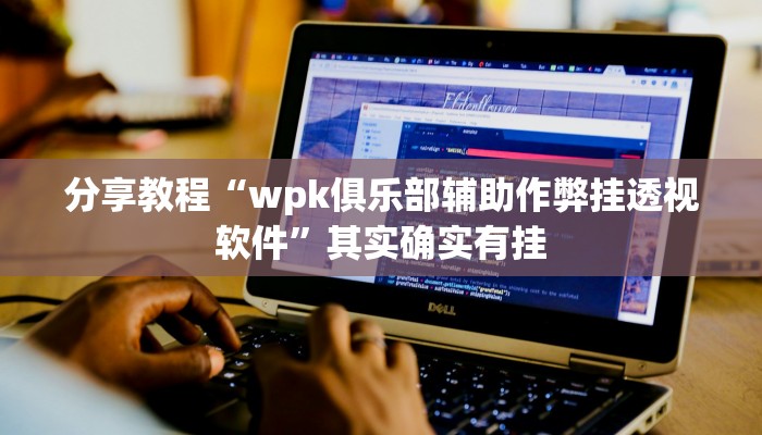 分享教程“wpk俱乐部辅助作弊挂透视软件”其实确实有挂