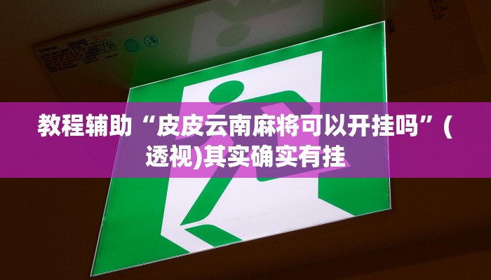 教程辅助“皮皮云南麻将可以开挂吗”(透视)其实确实有挂