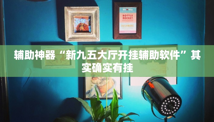 辅助神器“新九五大厅开挂辅助软件”其实确实有挂
