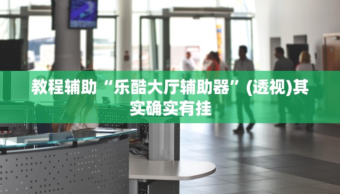 教程辅助“乐酷大厅辅助器”(透视)其实确实有挂