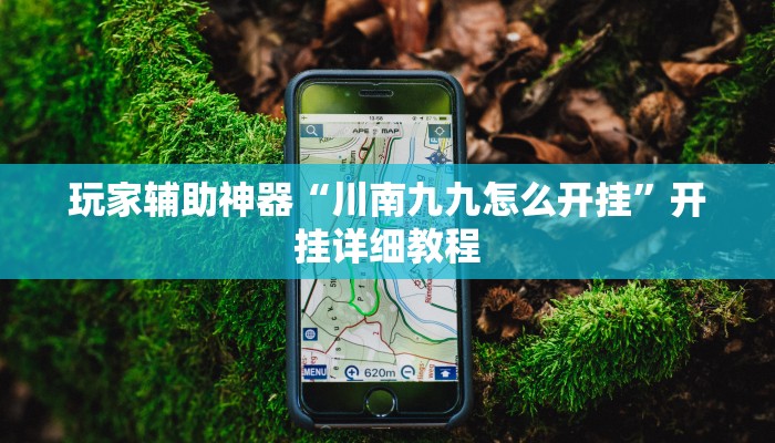 玩家辅助神器“川南九九怎么开挂”开挂详细教程