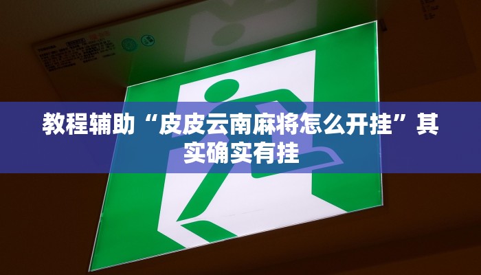 教程辅助“皮皮云南麻将怎么开挂”其实确实有挂