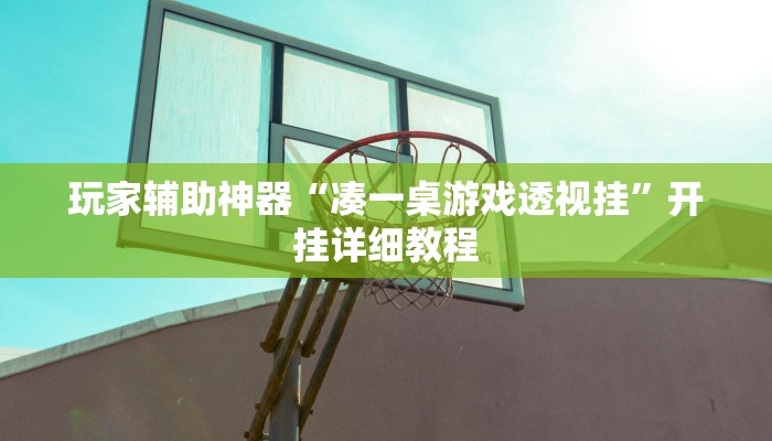 玩家辅助神器“凑一桌游戏透视挂”开挂详细教程