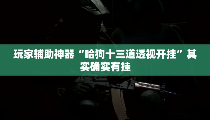 玩家辅助神器“哈狗十三道透视开挂”其实确实有挂