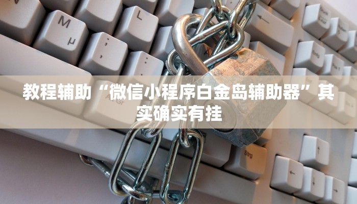 教程辅助“微信小程序白金岛辅助器”其实确实有挂