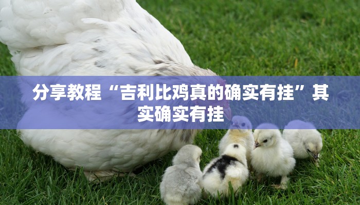 分享教程“吉利比鸡真的确实有挂”其实确实有挂