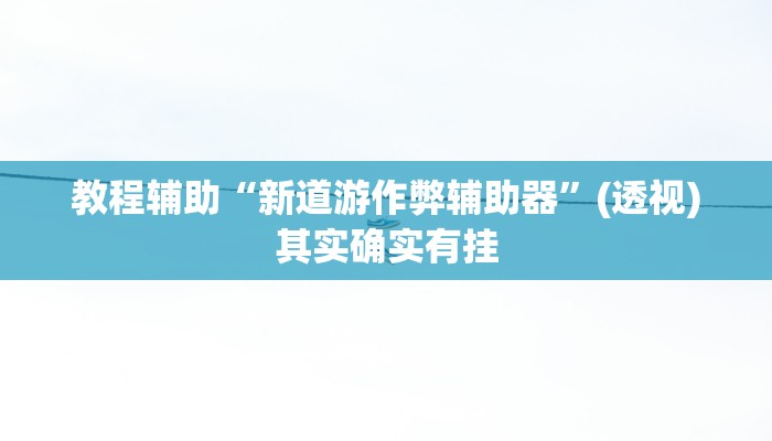 教程辅助“新道游作弊辅助器”(透视)其实确实有挂