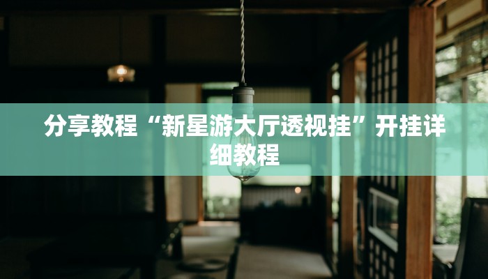 分享教程“新星游大厅透视挂”开挂详细教程