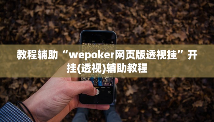 教程辅助“wepoker网页版透视挂”开挂(透视)辅助教程