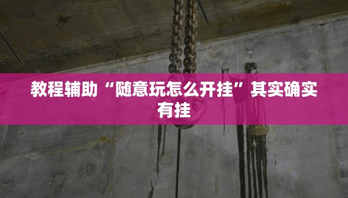 教程辅助“随意玩怎么开挂”其实确实有挂