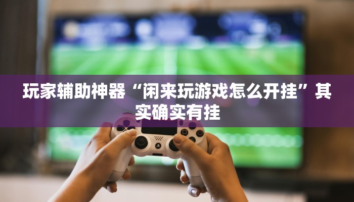 玩家辅助神器“闲来玩游戏怎么开挂”其实确实有挂