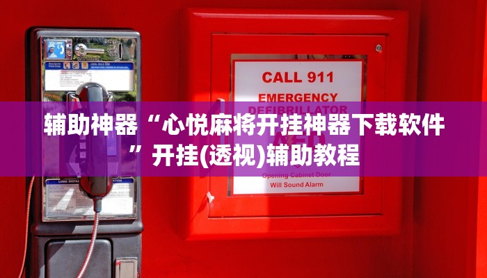 辅助神器“心悦麻将开挂神器下载软件”开挂(透视)辅助教程