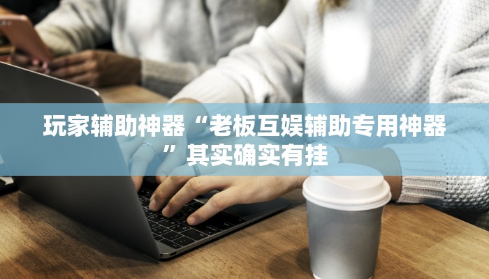 玩家辅助神器“老板互娱辅助专用神器”其实确实有挂