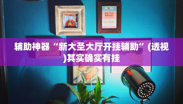 辅助神器“新大圣大厅开挂辅助”(透视)其实确实有挂