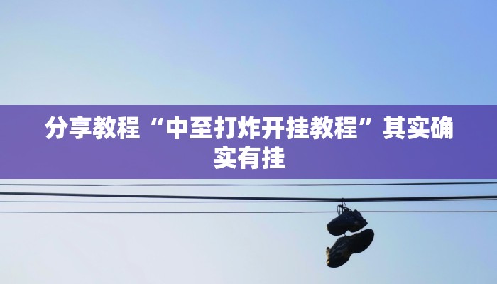 分享教程“中至打炸开挂教程”其实确实有挂