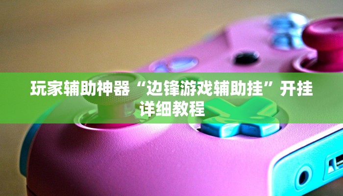 玩家辅助神器“边锋游戏辅助挂”开挂详细教程