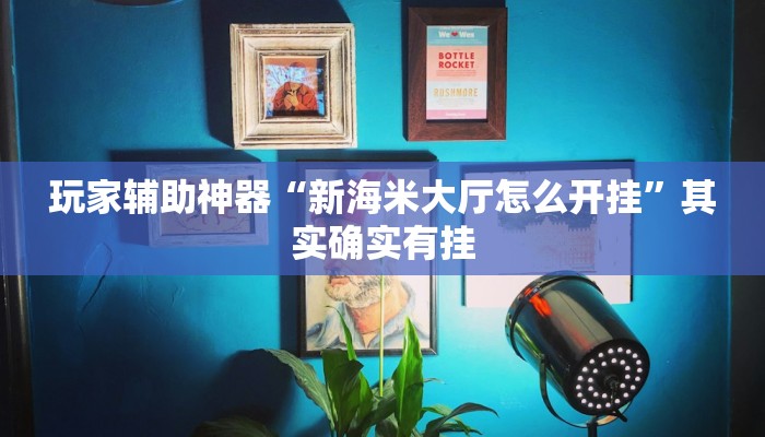 玩家辅助神器“新海米大厅怎么开挂”其实确实有挂