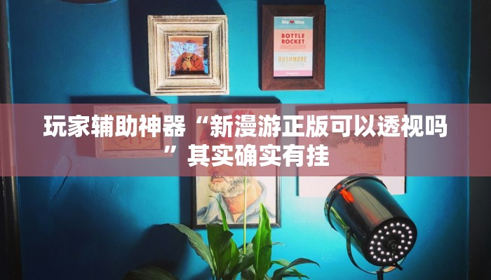 玩家辅助神器“新漫游正版可以透视吗”其实确实有挂