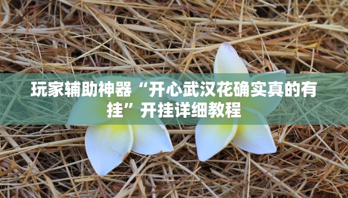 玩家辅助神器“开心武汉花确实真的有挂”开挂详细教程