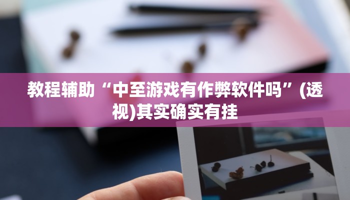 教程辅助“中至游戏有作弊软件吗”(透视)其实确实有挂